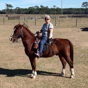 Meet your Posher, Brenda